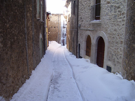 neve 004