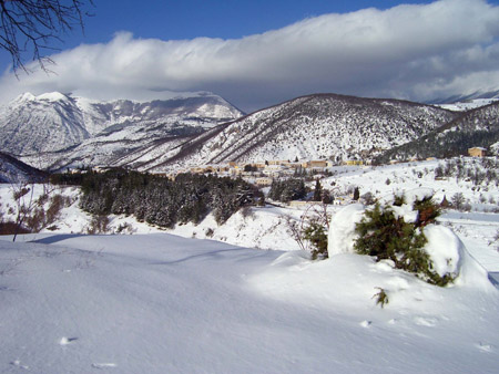 neve 029